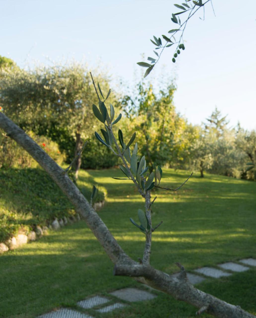 Borgo Villa Risi Siena Exteriér fotografie