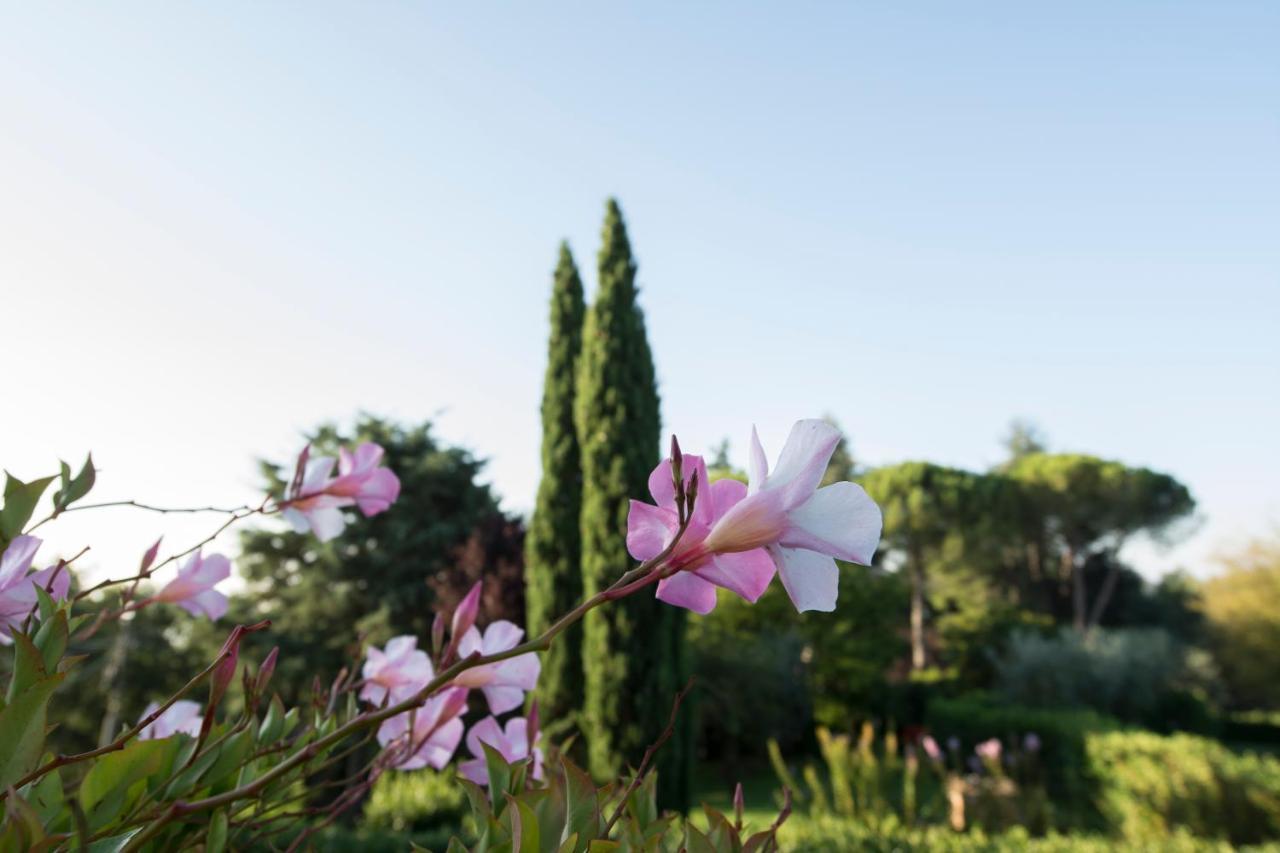 Borgo Villa Risi Siena Exteriér fotografie